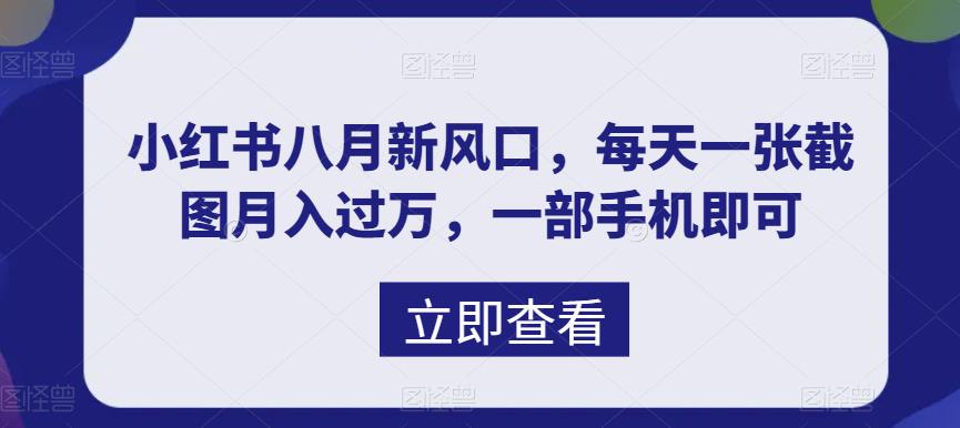 （6851期）八月新风口，小红书虚拟项目一天收入1000+，实战揭秘-夜影资源