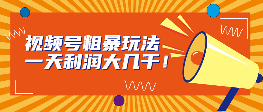（6941期）视频号粗暴玩法，一天利润大几千！-夜影资源