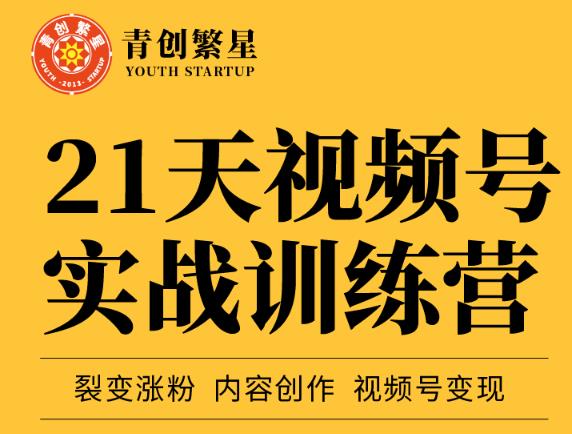 张萌21天视频号实战训练营，裂变涨粉、内容创作、视频号变现 价值298元-夜影资源