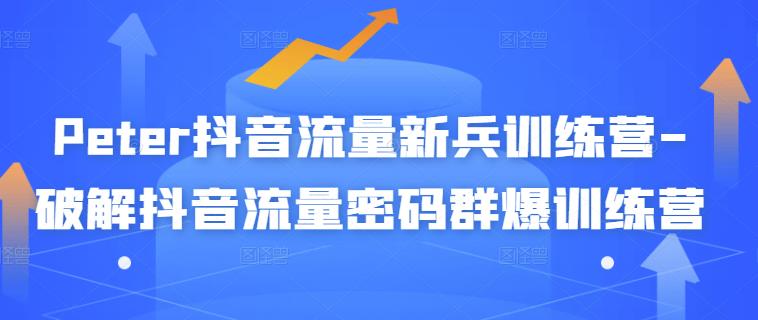 Peter抖音流量新兵训练营-破解抖音流量密码群爆训练营（新兵）-夜影资源