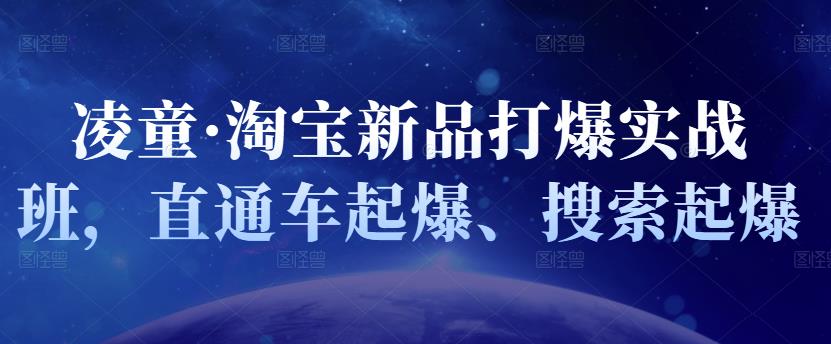 凌童·淘宝新品打爆实战班，直通车起爆、搜索起爆-夜影资源