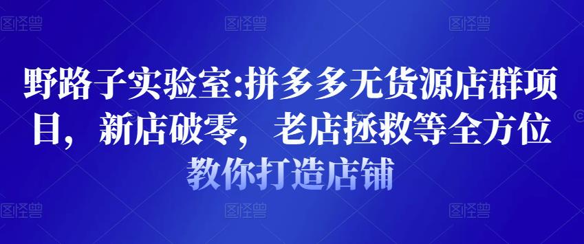 野路子实验室:拼多多无货源店群项目，新店破零，老店拯救等全方位教你打造店铺-夜影资源