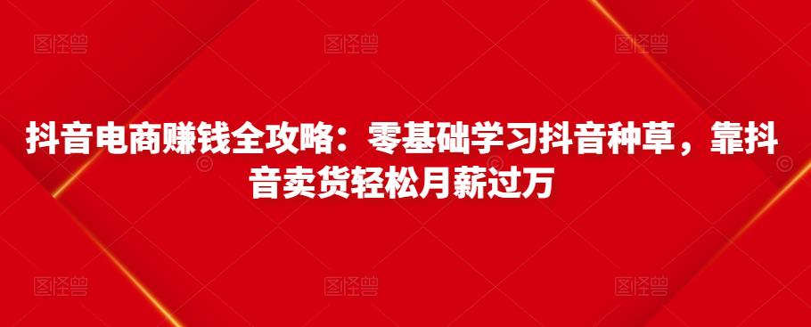 抖音电商赚钱全攻略：零基础学习抖音种草，靠抖音卖货轻松月薪过万-夜影资源