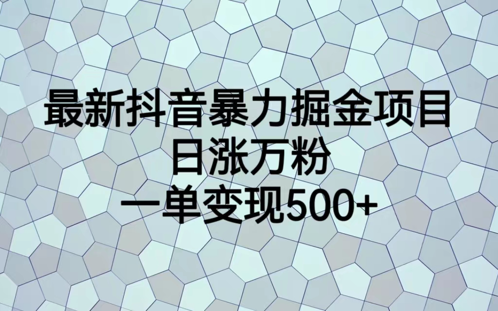 （7100期）最火热的抖音暴力掘金项目，日涨万粉，多种变现方式，一单变现可达500+-夜影资源