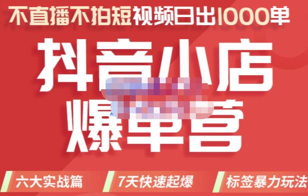 推易电商·2022年抖音小店爆单营，不直播、不拍短视频、日出1000单，暴力玩法-夜影资源