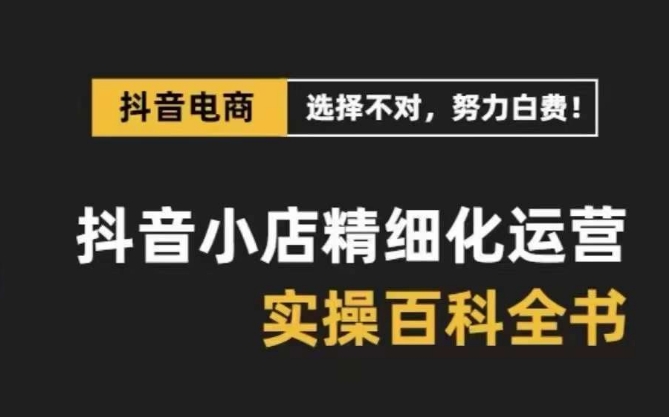 抖音小店精细化运营百科全书，保姆级运营实战讲解（28节课）-夜影资源