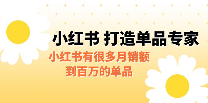 [小红书　]某公众号付费文章《小红书 打造单品专家》小红书有很多月销额到百万的单品-夜影资源