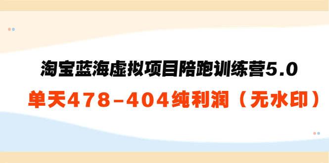 淘宝蓝海虚拟项目陪跑训练营5.0：单天478纯利润-夜影资源