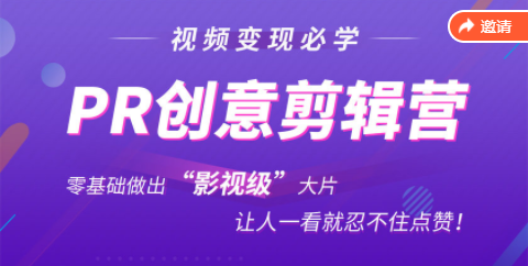 抖音赚钱必学的PR创意剪辑：零基础做出“影视级”大片，让人一看就忍不住为你点赞！-夜影资源
