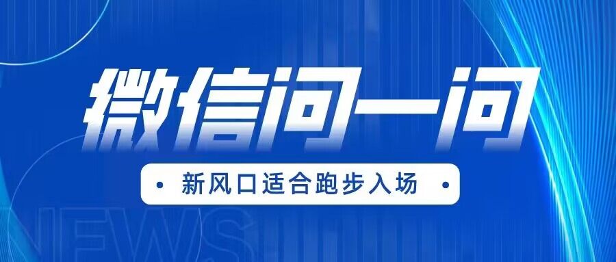 全网首发微信问一问新风口变现项目（价值1999元）-夜影资源