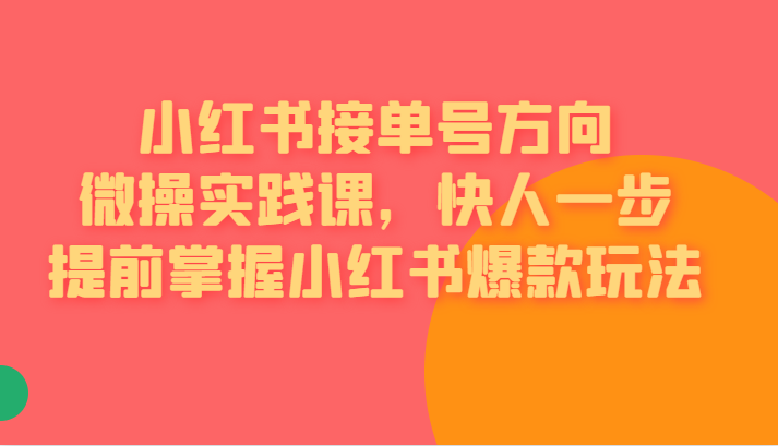 [小红书]小红书接单号方向微操实践课，快人一步提前掌握小红书爆款玩法-夜影资源