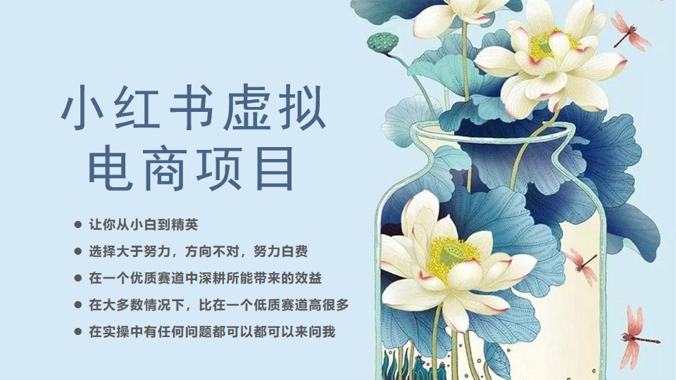 [小红书]小红书虚拟电商从0到1小白到精英（20节实操课程）-夜影资源