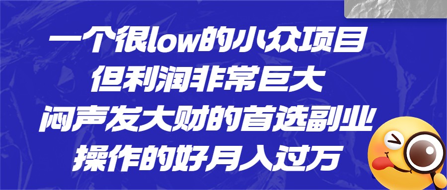 [抖音快手]一个很low的小众项目，但利润非常巨大，闷声发大财的首选副业，操作的好月入过万-夜影资源