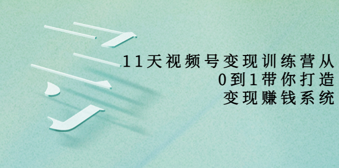 11天视频号变现训练营，从0到1打造变现赚钱系统（价值398元）-夜影资源