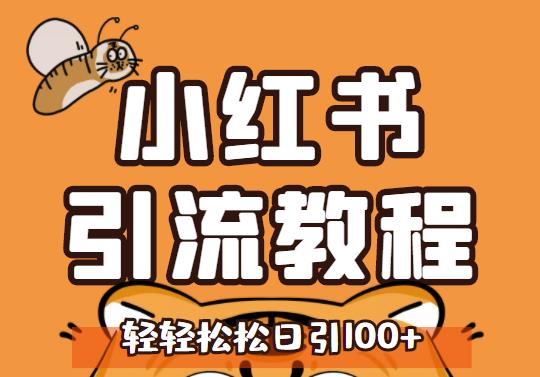 小红书运营引流全系列课程，每天引流100精准粉-夜影资源
