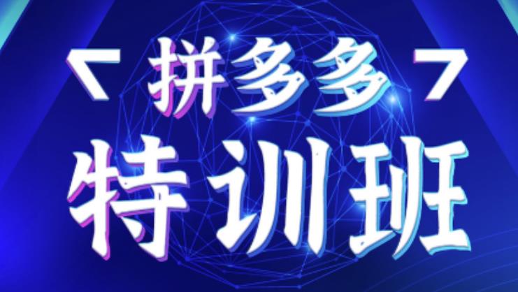 星雪教育·拼多多基础班+进阶班+突破班，用系统的学习模式快速改变现状价值3580元-夜影资源