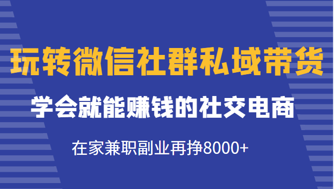 玩转微信社群私域带货，学会就能赚钱的社交电商，在家兼职副业再挣8000+-夜影资源