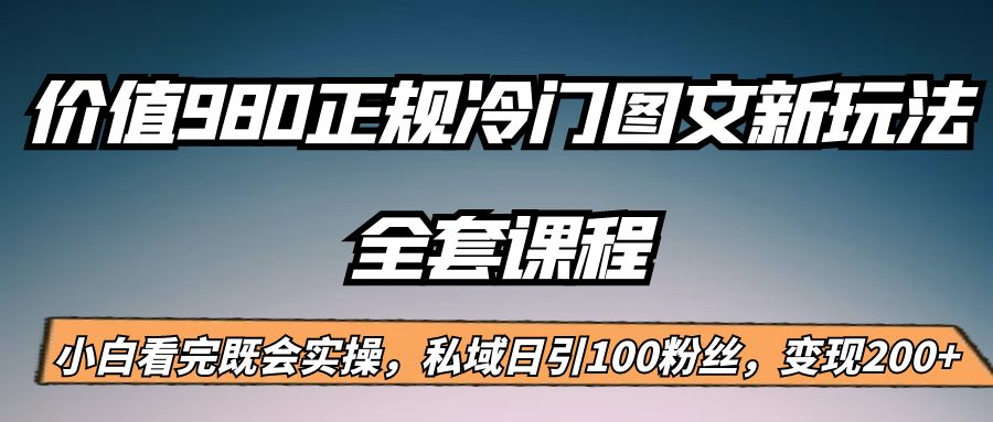 外面卖980的正规冷门图文新玩法，私域日引100粉丝，变现200+-夜影资源
