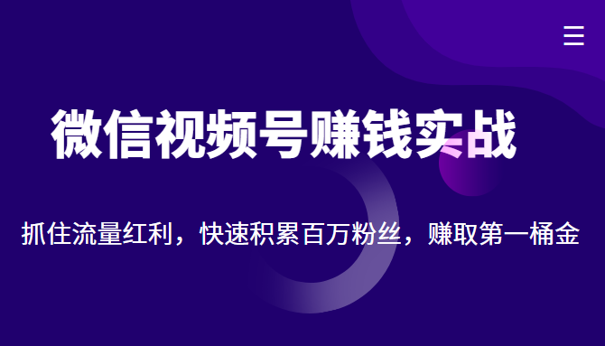 微信视频号赚钱实战：抓住流量红利，快速积累百万粉丝，赚取你的第一桶金-夜影资源