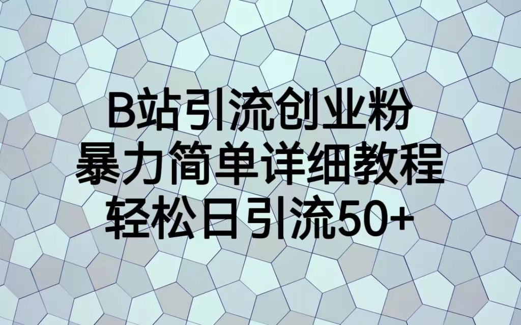 B站引流创业粉，暴力简单详细教程，轻松日引流50+-夜影资源
