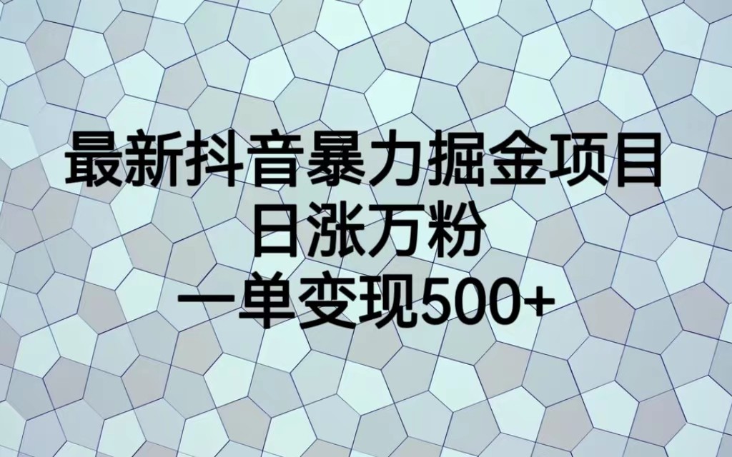 最新抖音暴力掘金项目，日涨万粉，一单变现500+-夜影资源