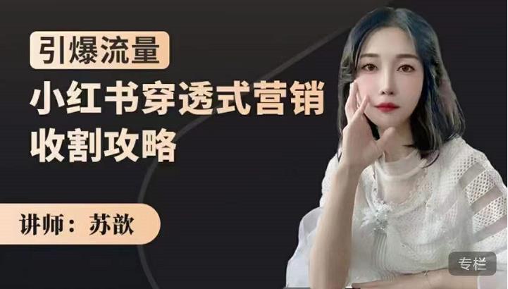 苏歆：小红书穿透式营销收割攻略，引爆流量，助你玩转小红书-夜影资源