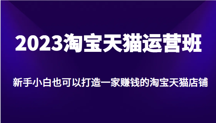 2023淘宝天猫运营班，新手小白也可以打造一家赚钱的淘宝天猫店铺-夜影资源