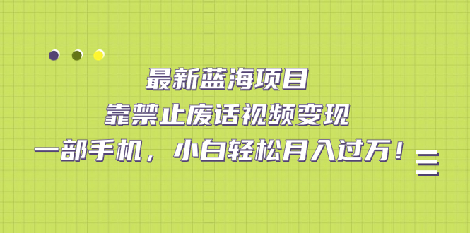 （7276期）最新蓝海项目，靠禁止废话视频变现，一部手机，小白轻松月入过万！-夜影资源