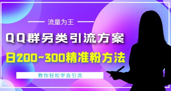 价值888的QQ群另类引流方案，半自动操作日200~300精准粉方法【视频教程】-夜影资源