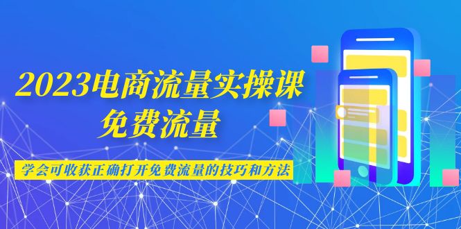 2023电商流量实操课-免费流量，学会可收获正确打开免费流量的技巧和方法-夜影资源