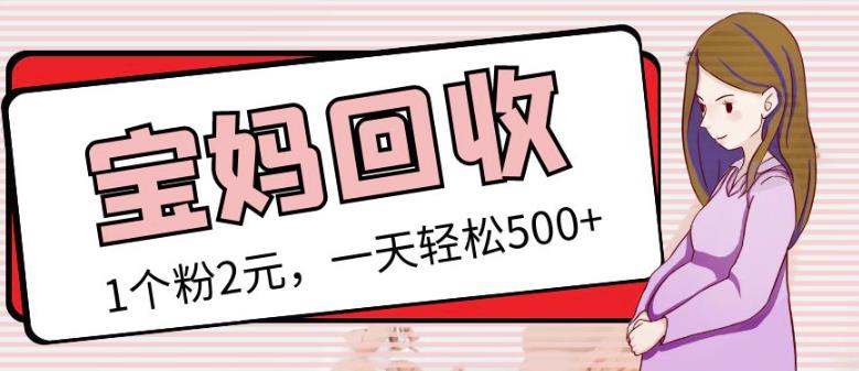 最新小红书母婴号宝妈粉回收项目，1个粉2元，一天轻松500+案例分享【粉丝包回收】-夜影资源