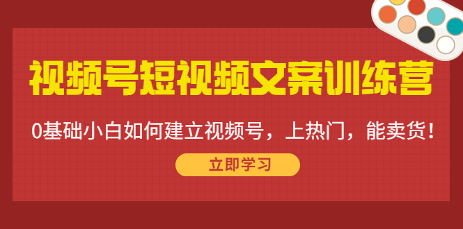 视频号短视频文案训练营：0基础小白如何建立视频号，上热门，能卖货！-夜影资源