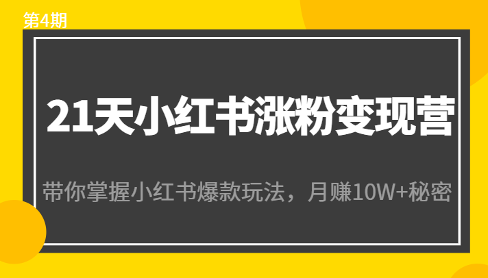 21天小红书涨粉变现营（第4期）：带你掌握小红书爆款玩法，月赚10W+秘密-夜影资源