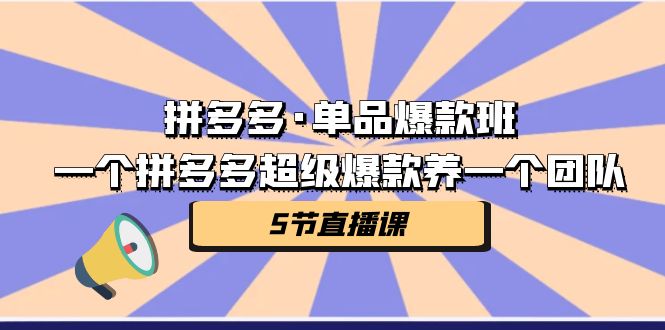 拼多多·单品爆款班，一个拼多多超级爆款养一个团队（5节直播课）-夜影资源