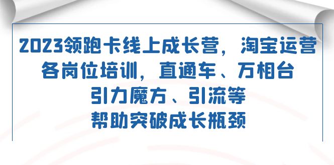 （7462期）2023领跑·卡 线上成长营 淘宝运营各岗位培训 直通车 万相台 引力魔方 引流-夜影资源