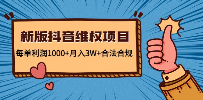 新版抖音维全项目：每单利润1000+月入3W+合法合规-夜影资源