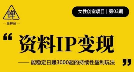 资料IP变现，能稳定日赚3000起的持续性盈利玩法-夜影资源