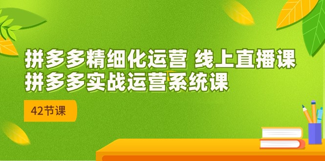 2023年8月新课-拼多多精细化运营 线上直播课：拼多多实战运营系统课-42节-夜影资源