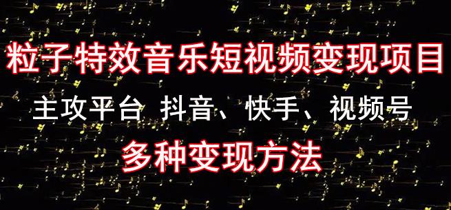 黄岛主《粒子特效音乐短视频变现项目》主攻平台抖音、快手、视频号多种变现方法-夜影资源