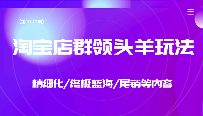 淘宝店群领头羊玩法，精细化/终极蓝海/尾销等内容（第10-12期）-夜影资源