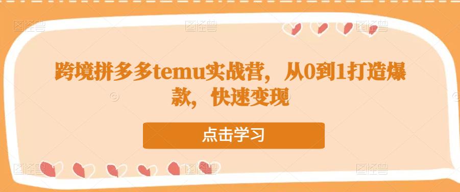 跨境拼多多temu实战营，从0到1打造爆款，快速变现-夜影资源