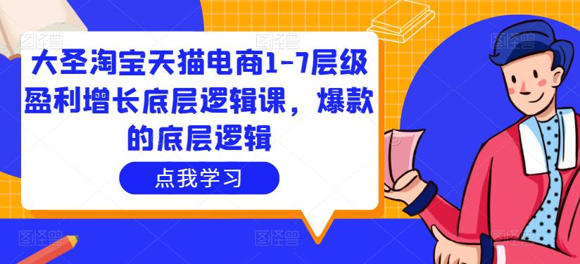 大圣淘宝天猫电商1-7层级盈利增长底层逻辑课，爆款的底层逻辑-夜影资源