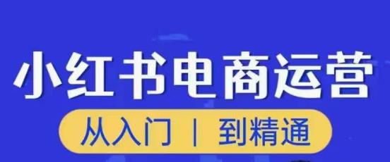 顽石小红书电商高阶运营课程，从入门到精通，玩法流程持续更新-夜影资源