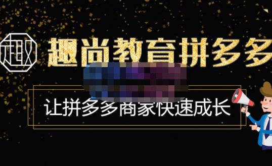 趣尚教育·拼多多运营实操VIP特训营，让拼多多商家快速成长-价值3180元-夜影资源