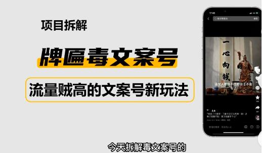 2023抖音快手毒文案新玩法，牌匾文案号，起号快易变现-夜影资源