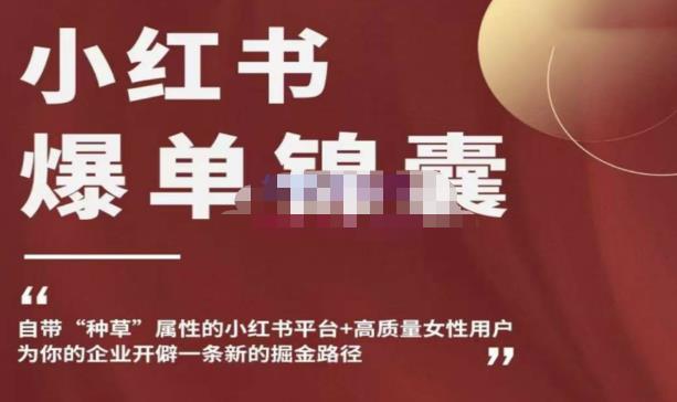小红书爆单锦囊，自带种草属性+高质量女性用户，为你的企业开辟一条新的掘金路径-夜影资源