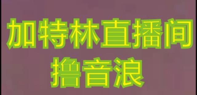 抖音加特林直播间搭建技术，抖音0粉开播，暴力撸音浪，2023新口子，每天800+【素材+详细教程】-夜影资源