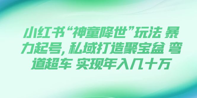 （7673期）小红书“神童降世”玩法 暴力起号,私域打造聚宝盆 弯道超车 实现年入几十万-夜影资源