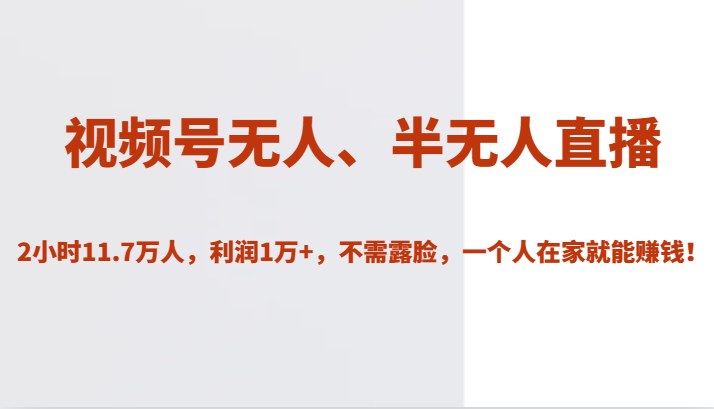 视频号无人、半无人直播2小时11.7万人，利润1万+，不需露脸，一个人在家就能赚钱！-夜影资源