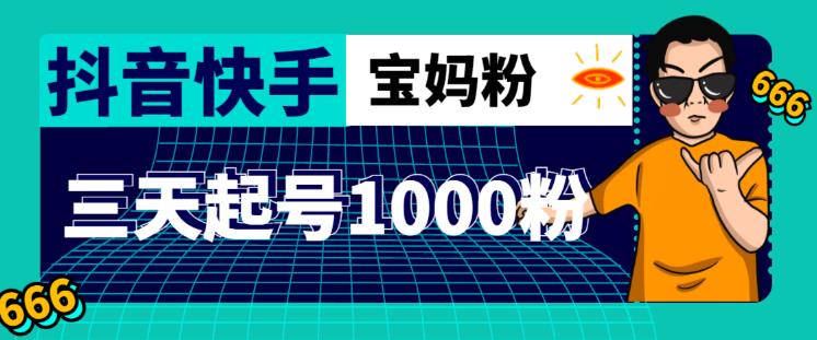 抖音快手三天起号涨粉1000宝妈粉丝的核心方法【详细玩法教程】-夜影资源